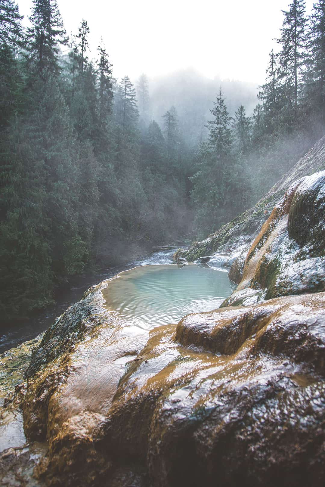 Wild natural hot spring in misty forest